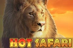 Hot Safari