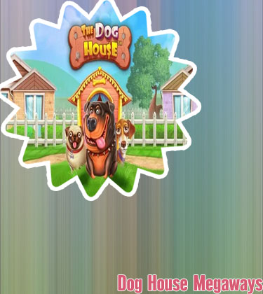 The dog house slot